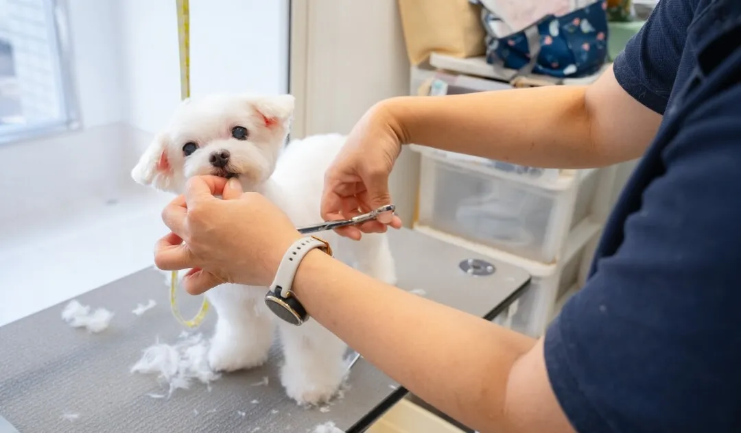 トリミング・ホテルの併設で充実のトータルサポート